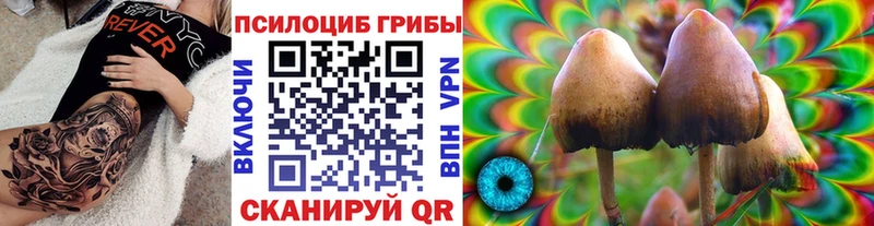 kraken   Королёв  Псилоцибиновые грибы прущие грибы 